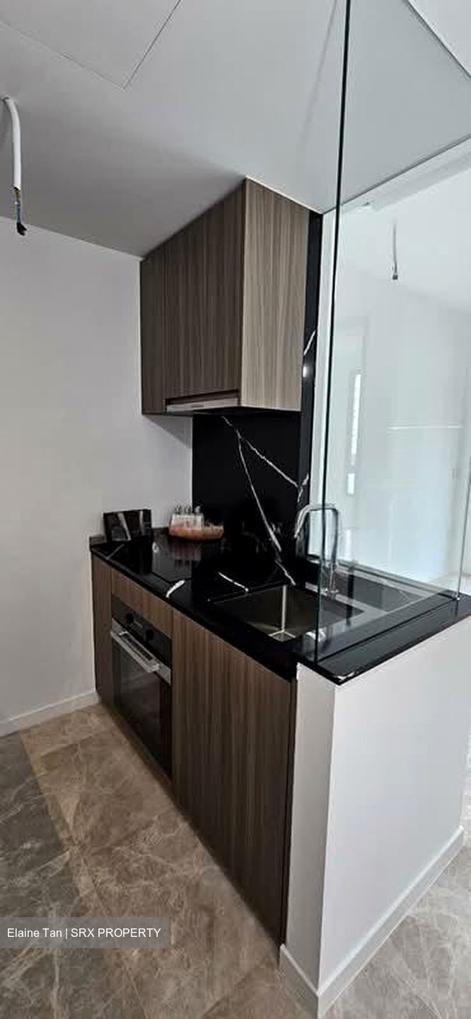 Irwell Hill Residences (D9), Apartment #535936901
